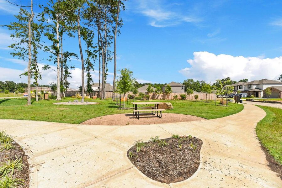 Community amenities in Cielo, Conroe (Image 17).