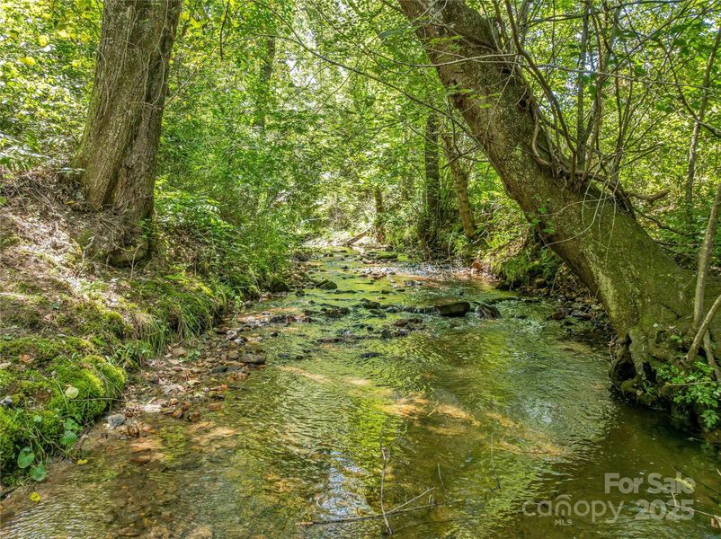 Natural landscape and outdoor views near  in Arden (Image 18).