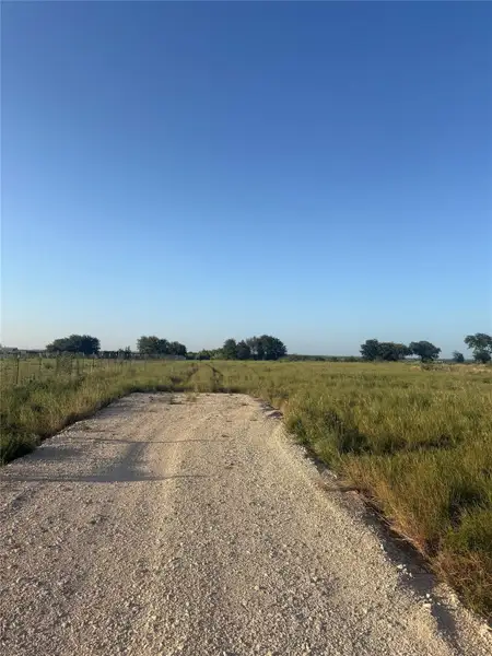 An unpaved driveway leads through wide open pasture land under a clear blue sky.