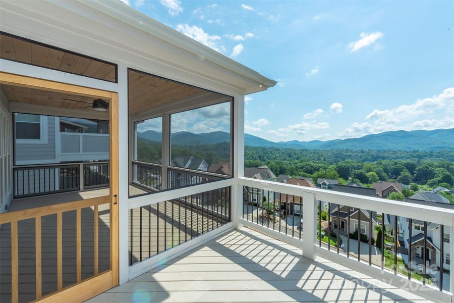 Summer vision Summer vision