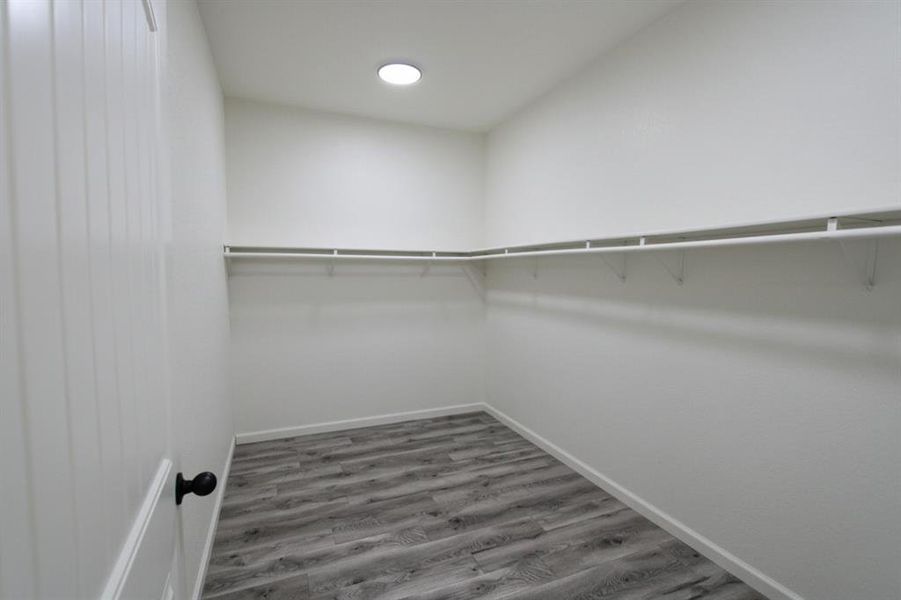 Spacious closet featuring light wood-style floors Spacious closet featuring light wood-style floors