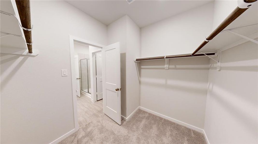 This photo shows a spacious walk-in closet with carpeted flooring and ample shelving. It features dual hanging rods and leads into a room with wood-style flooring, it is the primary bedroom closet