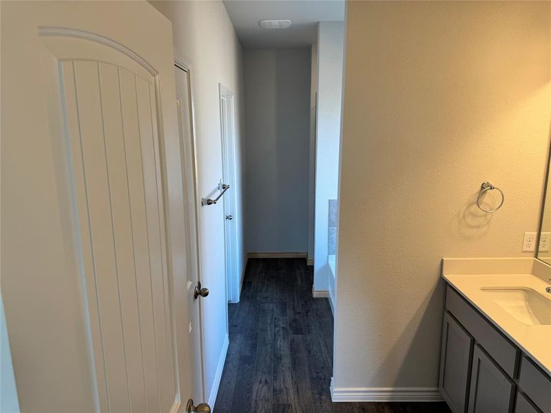Bathroom featuring vanity and dark wood-type flooring