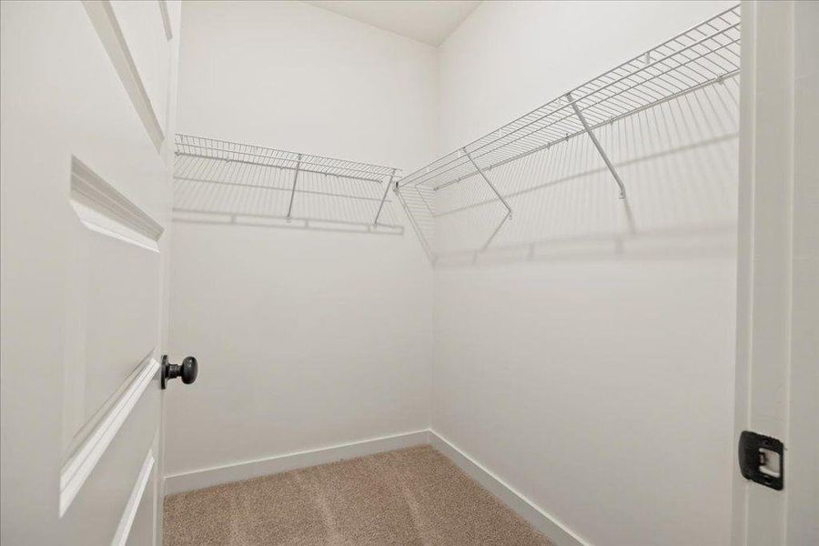 Spacious, unfurnished interior of a new home in , Gainesville (Image 24). Spacious, unfurnished interior of a new home in , Gainesville (Image 24).