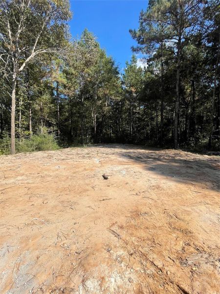 Backyard sitting on 1.5 Acres of the Natural Forest Backyard sitting on 1.5 Acres of the Natural Forest