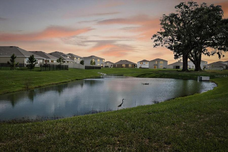 Natural landscape and outdoor views near in San Antonio (Image 48). Natural landscape and outdoor views near in San Antonio (Image 48).