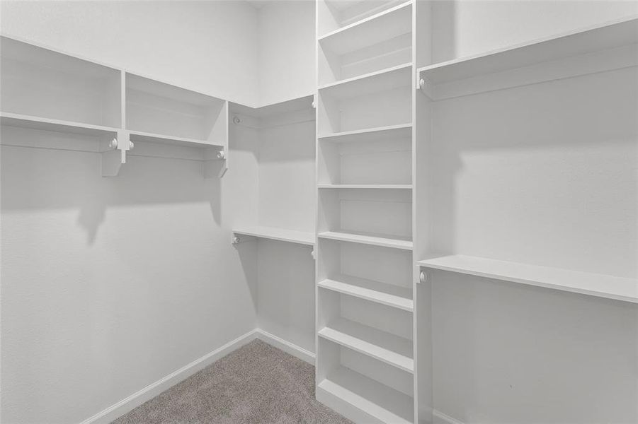 Walk in closet with light colored carpet