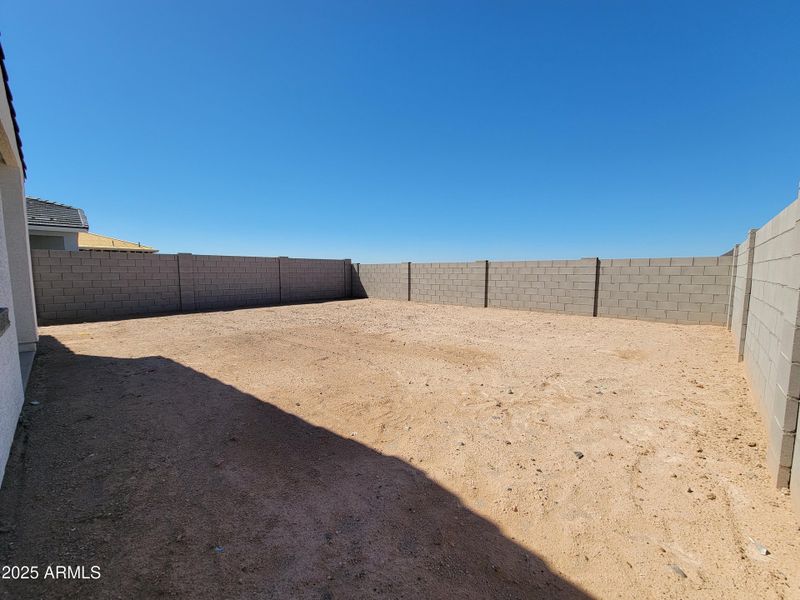 1000053398 1000053398