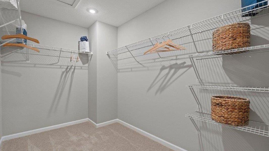 Image 7 representing the Chatham by D.R. Horton in Ruskin Preserve, Ruskin, FL.