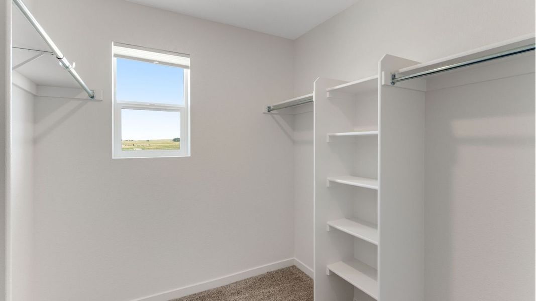 Spacious, unfurnished interior of a new home in Vista Meadows, Fort Lupton (Image 16).