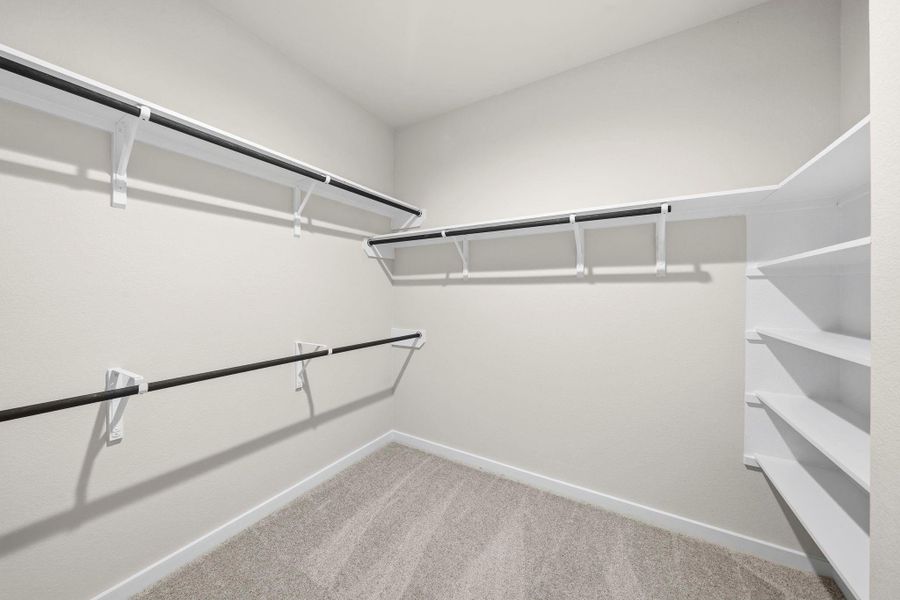 representative photo representative photo