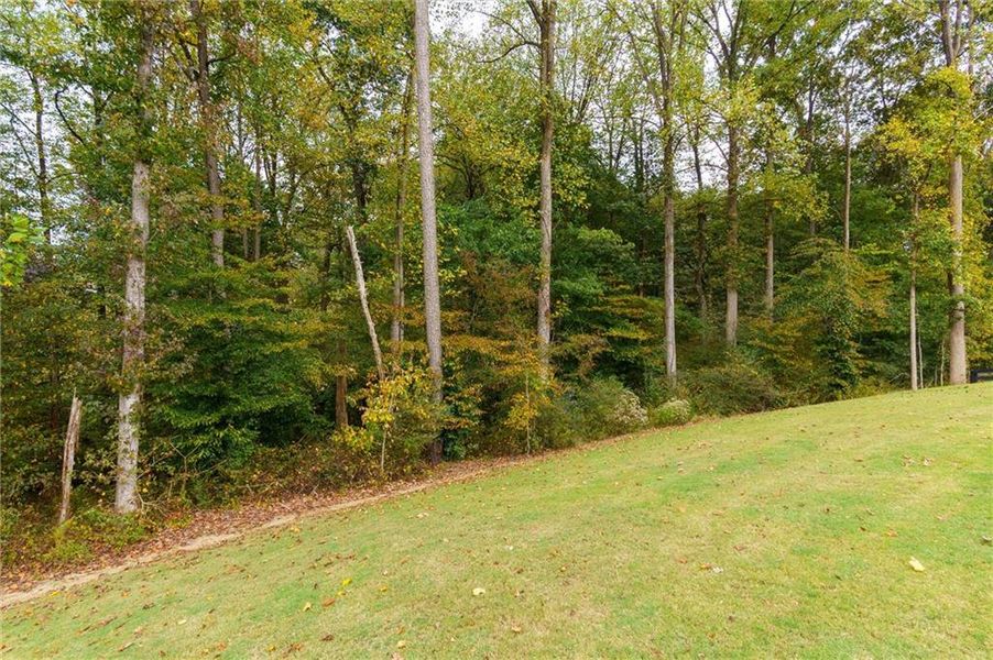 Natural landscape and outdoor views near Fireside Farms in Gainesville (Image 36).