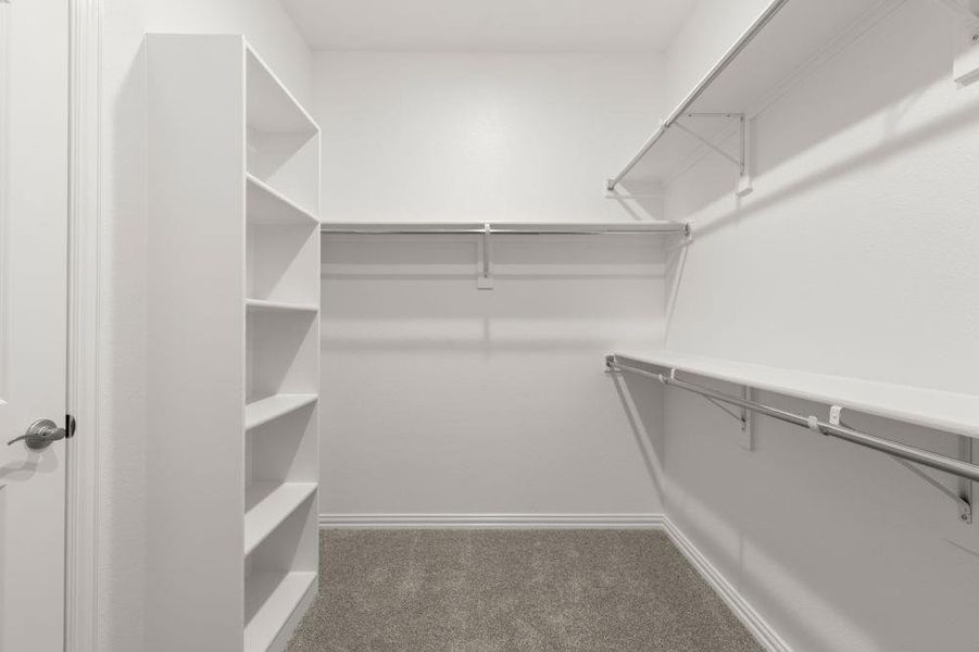 31. 2228 Aspen Chase - Closet