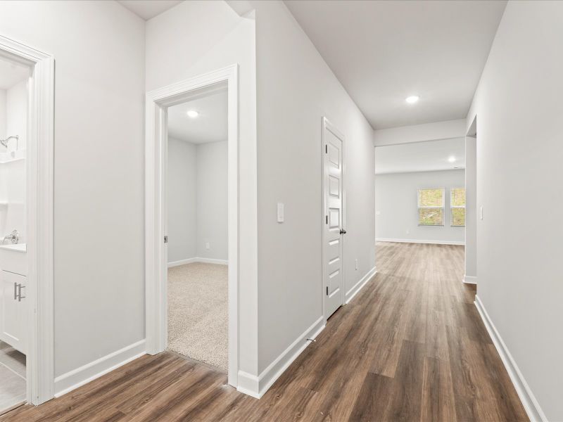 Welcome to the Buchanan floorplan at Holland Park.