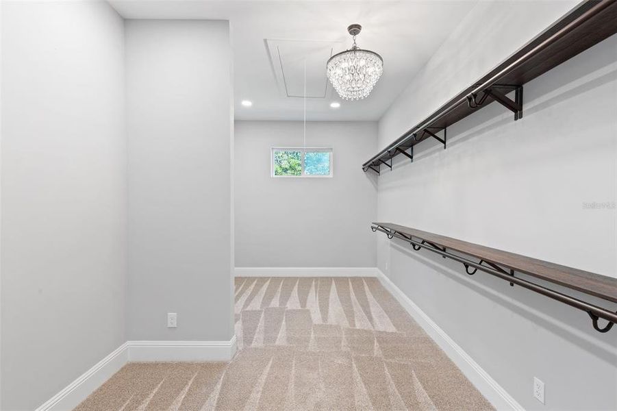 Spacious, unfurnished interior of a new home in , Thonotosassa (Image 25).