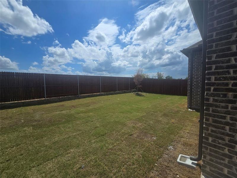 5013 backyard1 5013 backyard1