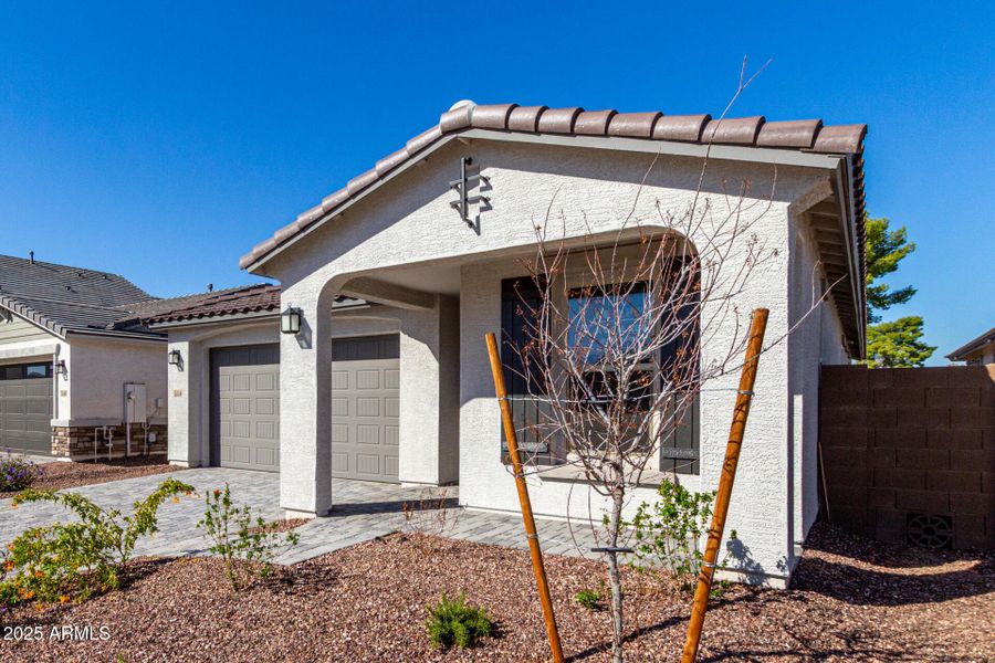 04 - Las Palmaritas 04 - Las Palmaritas