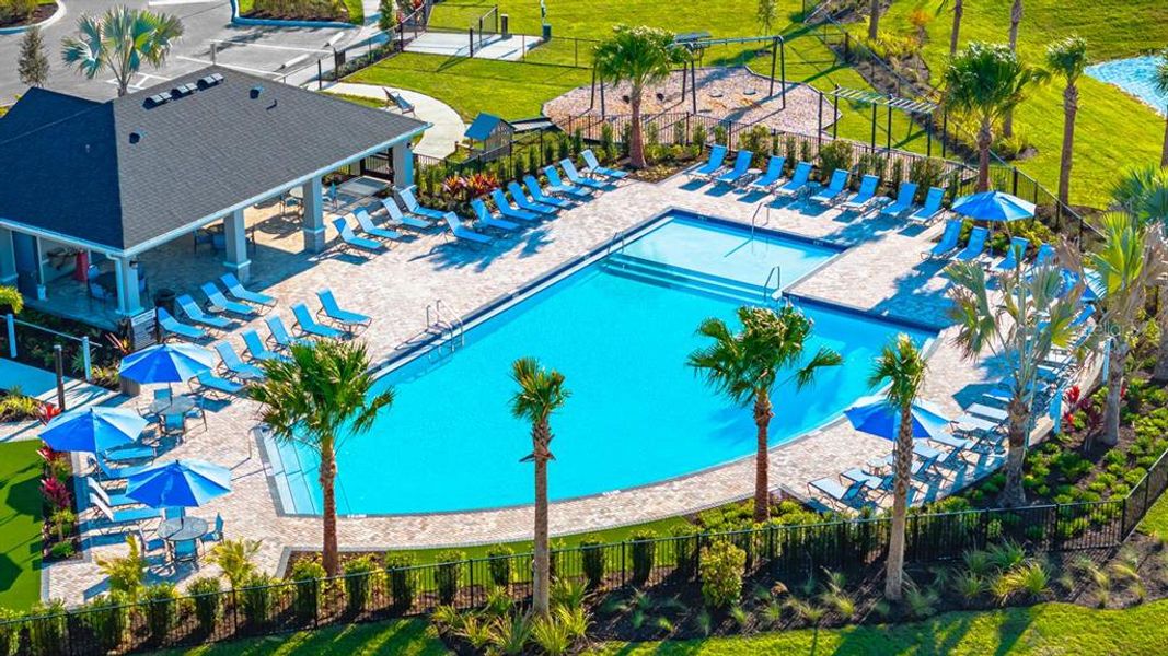 Community amenities in Indigo Creek, Apollo Beach (Image 22).