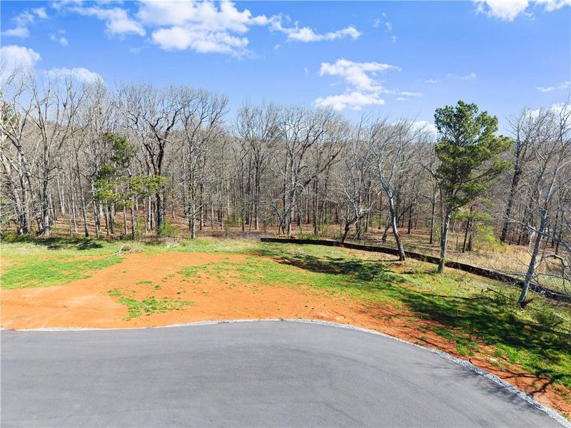 Natural landscape and outdoor views near  in Cleveland (Image 24).