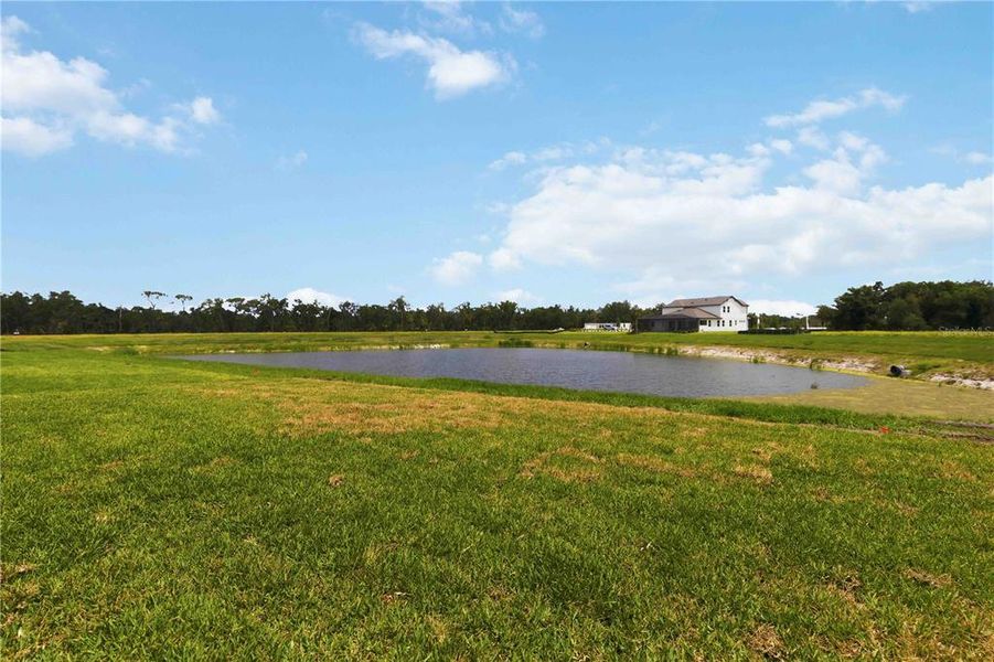 Natural landscape and outdoor views near Creeks Edge at Twin Rivers in Parrish (Image 73).