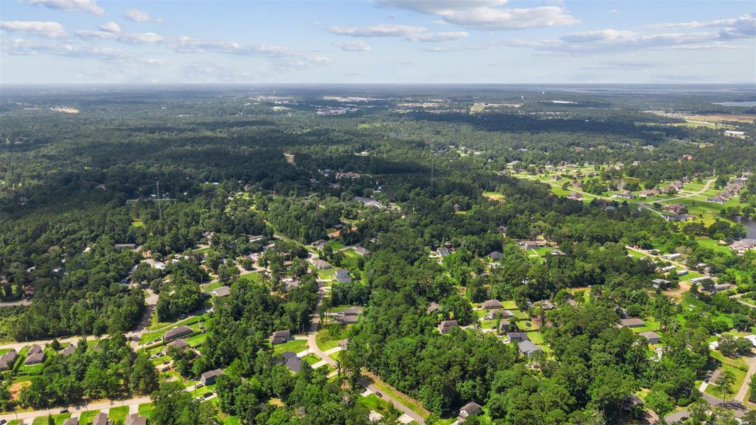 Natural landscape and outdoor views near  in Willis (Image 21).