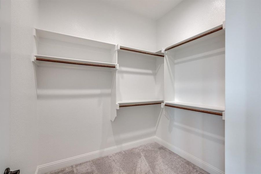 Spacious closet with carpet floors