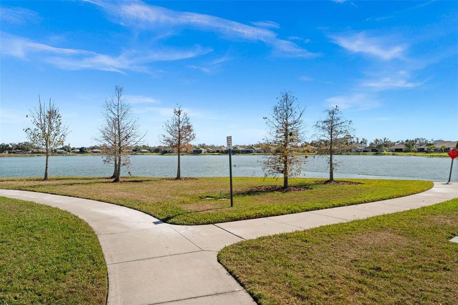 Natural landscape and outdoor views near  in Palmetto (Image 37).