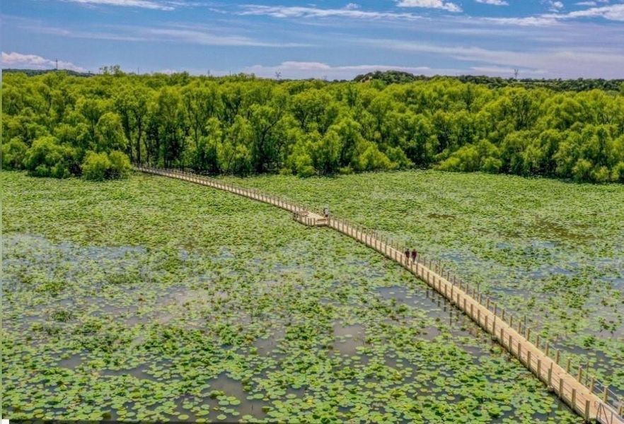 Natural landscape and outdoor views near Parker Ridge in Weatherford (Image 22).