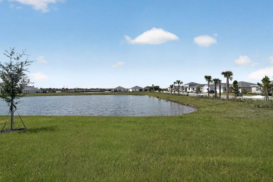 Natural landscape and outdoor views near Firethorn in Parrish (Image 31).