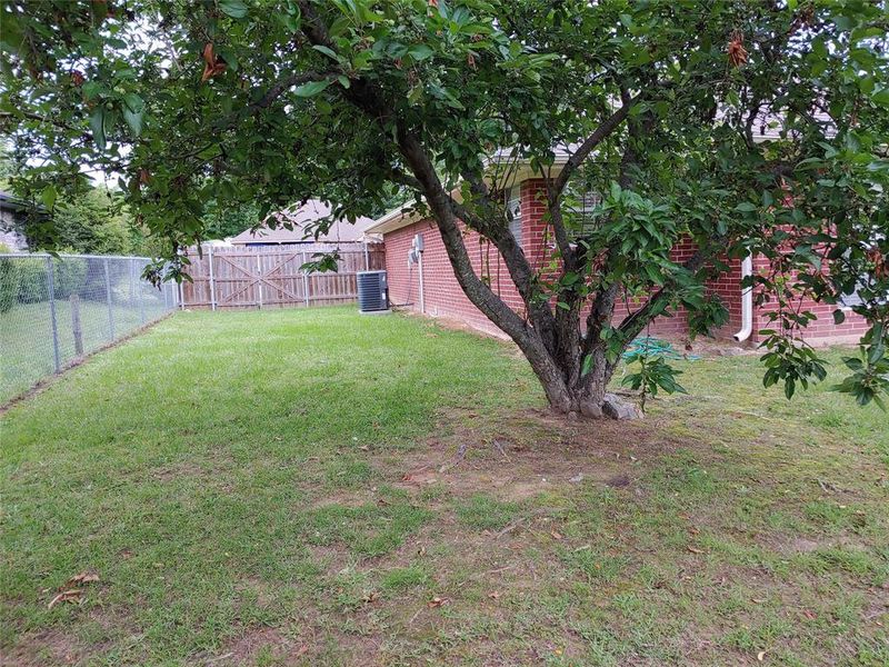 Expansive backyard with established tree, chain-link fencing, and brick exterior