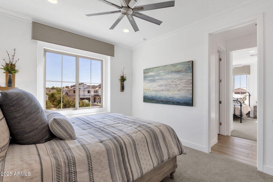 33-web-or-mls- 33-web-or-mls-