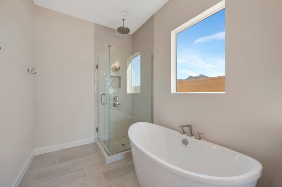 Owner's Bath