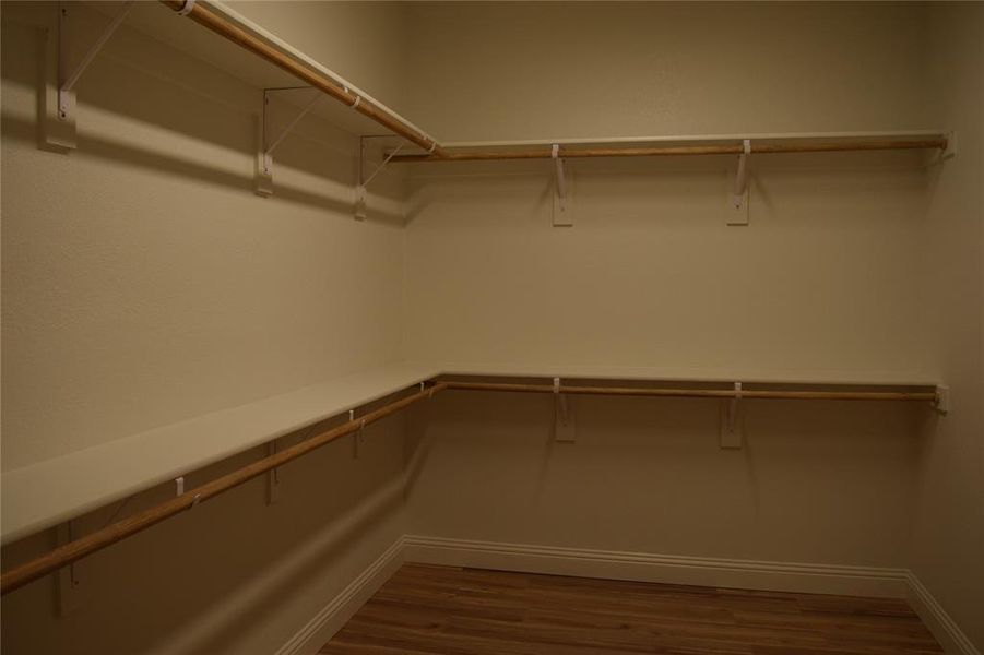 Spacious closet with dark wood finished floors