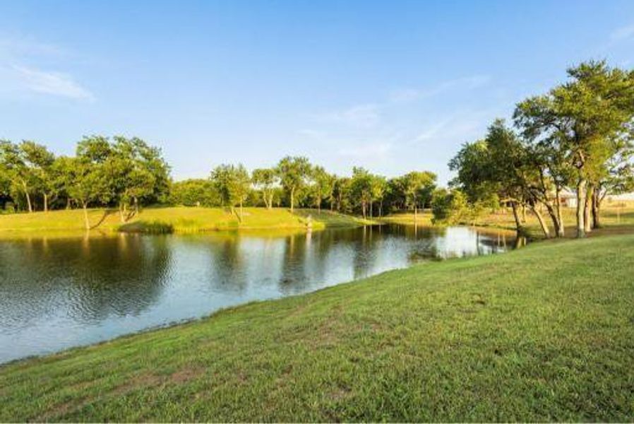 Natural landscape and outdoor views near  in Sherman (Image 24).