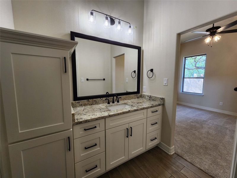 Bathroom featuring vanity, a ceiling fan, and dark wood-style flooring