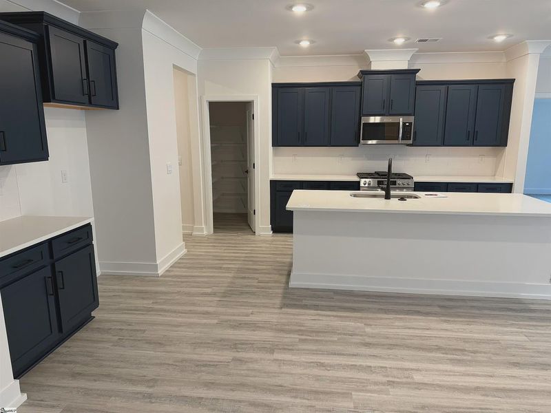 Furnished interior view inside a new home in Hidden Lake Estates, Greenville (Image 5).
