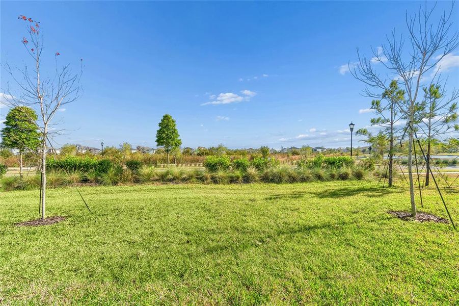 Natural landscape and outdoor views near Chapel Crossings - Garden Series in Wesley Chapel (Image 40). Natural landscape and outdoor views near Chapel Crossings - Garden Series in Wesley Chapel (Image 40).