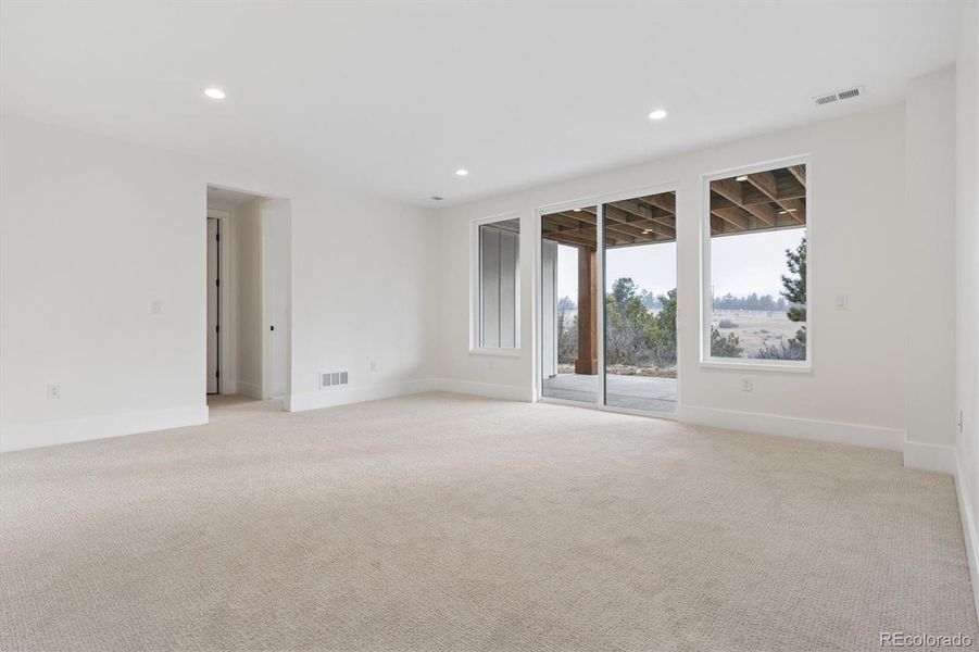 Basement family room