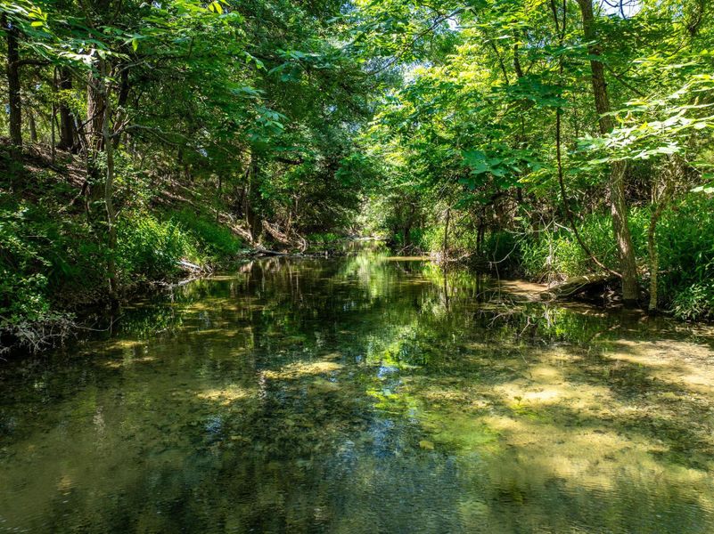 A tranquil stream meanders through a verdant, wooded landscape, offering a serene natural escape.