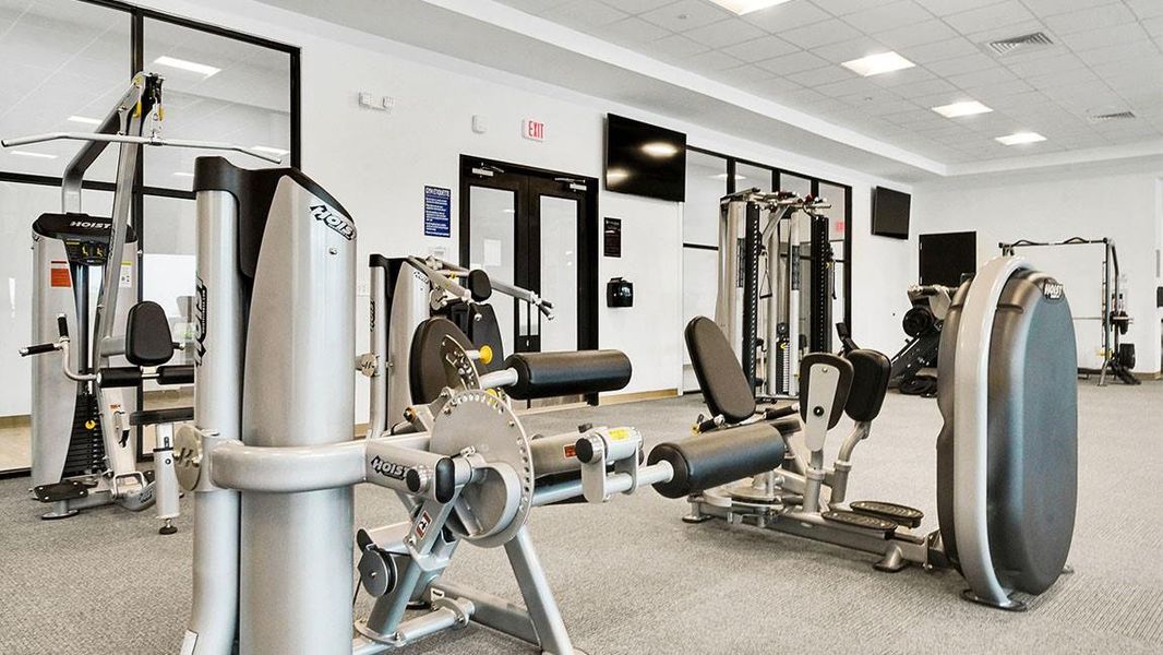 *Images and 3D tour are for illustration only and options may vary from home as built.