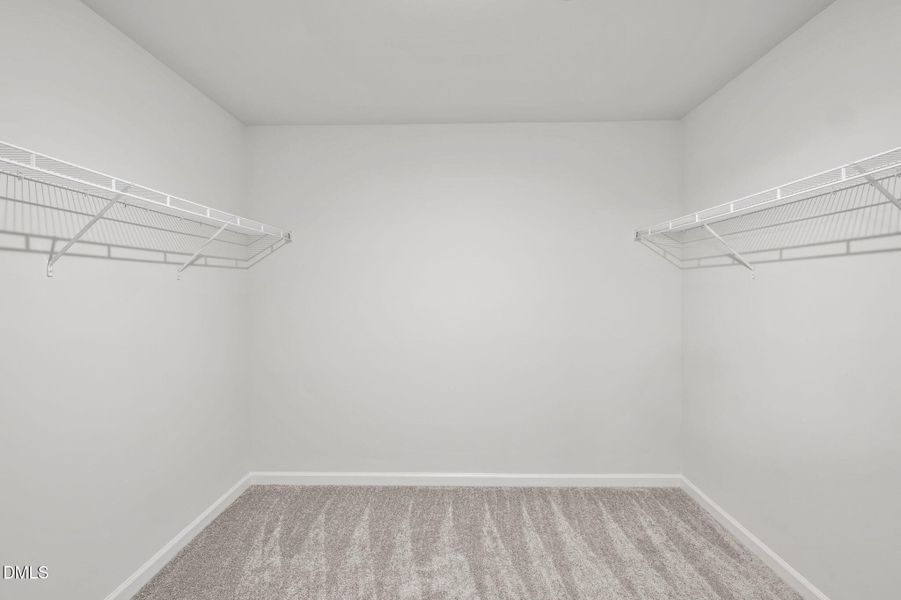 57-web-or-mls-P1119383