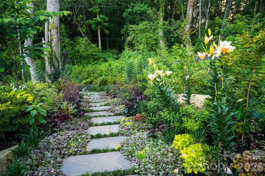 Natural landscape and outdoor views near  in Fairview (Image 38).