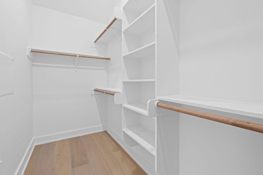 Walk in closet featuring light wood finished floors