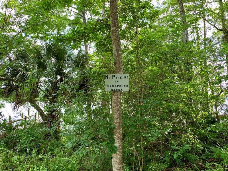 Natural landscape and outdoor views near  in Eustis (Image 47).