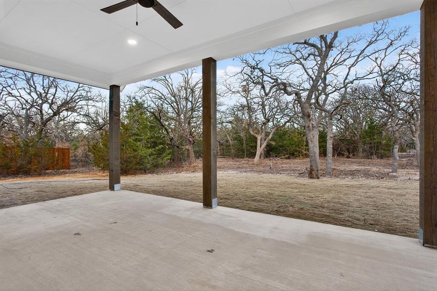 Views from the back patio!