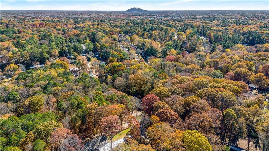 Natural landscape and outdoor views near  in Tucker (Image 43).