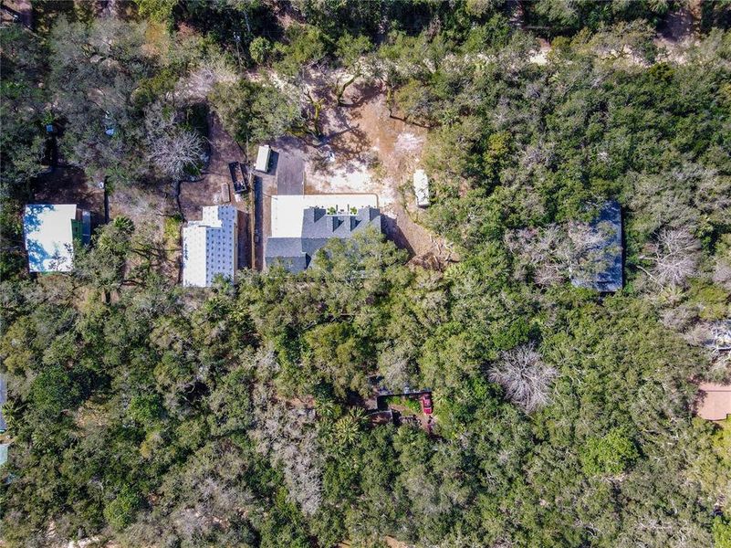 Natural landscape and outdoor views near in Palm Coast (Image 48). Natural landscape and outdoor views near in Palm Coast (Image 48).