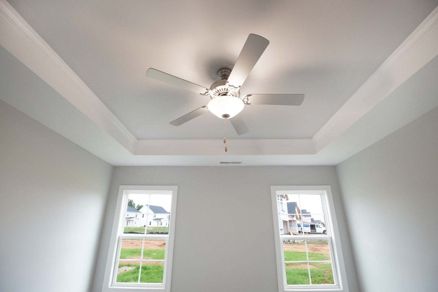 Master Bedroom with Tray Ceiling Option