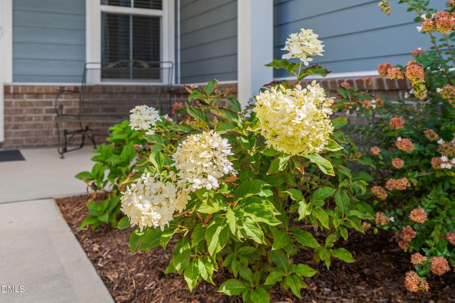 1913 Bigleaf Maple Run 1913 Bigleaf Maple Run