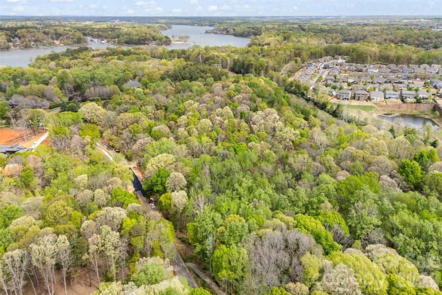 Natural landscape and outdoor views near  in Charlotte (Image 9).